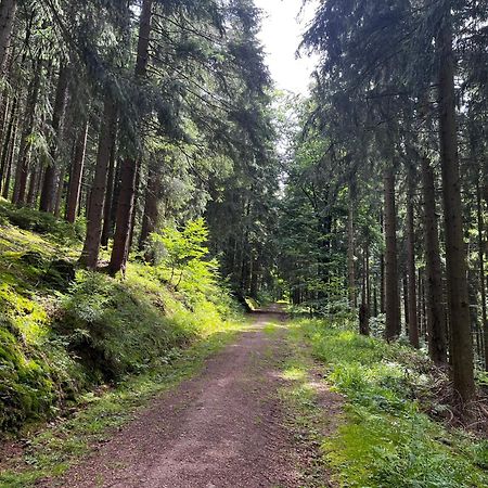 Gaestehaus Im Erzgebirge Zwönitz Εξωτερικό φωτογραφία